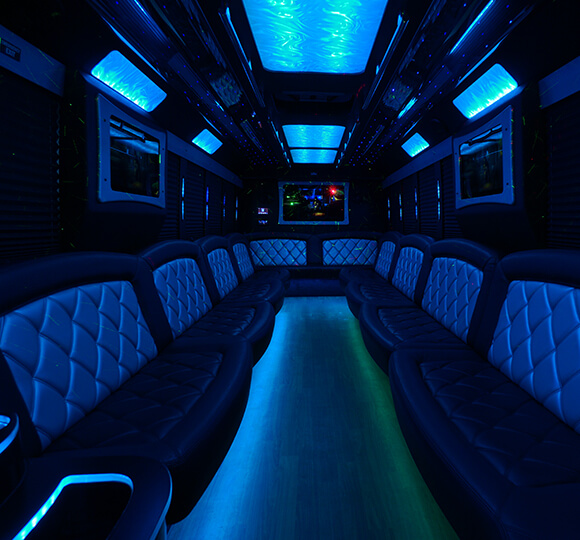 fiber optic lights