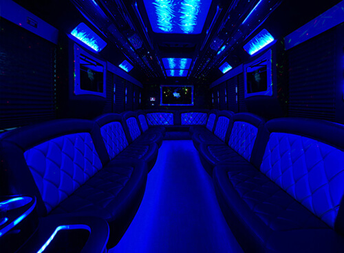 fiber optic lights